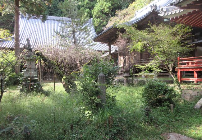 高貴寺