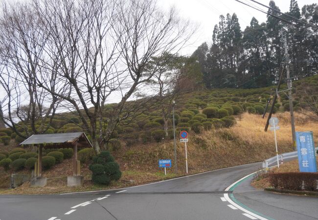 天神山公園