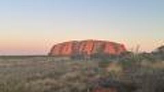 気軽に回れる現地ツアーが充実