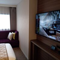 テレビが大き目