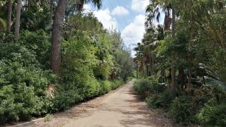 正しい場所はココです