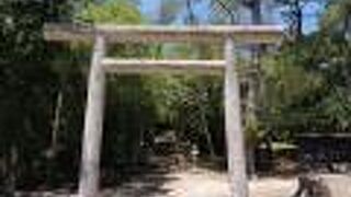 ダイトウオオコウモリの生息地でもあります