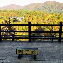 9時頃から混雑します。