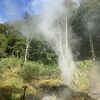 温泉たまごが作れます