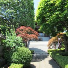 金剛寺 (滝野川)