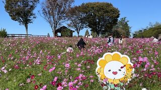 愛知牧場 モーハウス売店