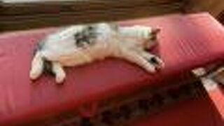 宮殿内は撮影禁止