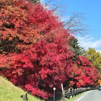 運動茶屋公園