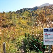 有珠山西山山麓火口散策路 を散策　噴煙確認できず