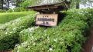 八戸市史跡根城の広場