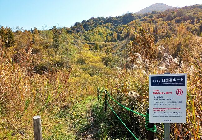 有珠山西山山麓火口散策路 を散策　噴煙確認できず