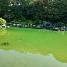 大濠公園日本庭園