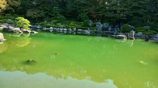 小規模の日本庭園です。