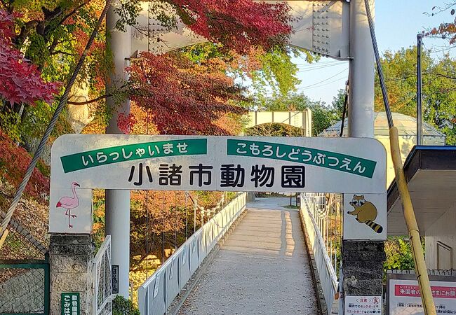 小諸市動物園