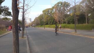 大阪城を囲む公園