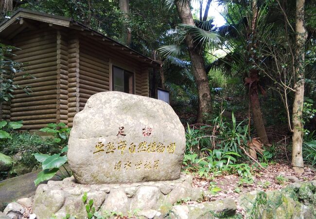 亜熱帯植物園