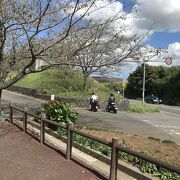 成田市さくらの山