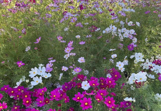 福岡市動植物園