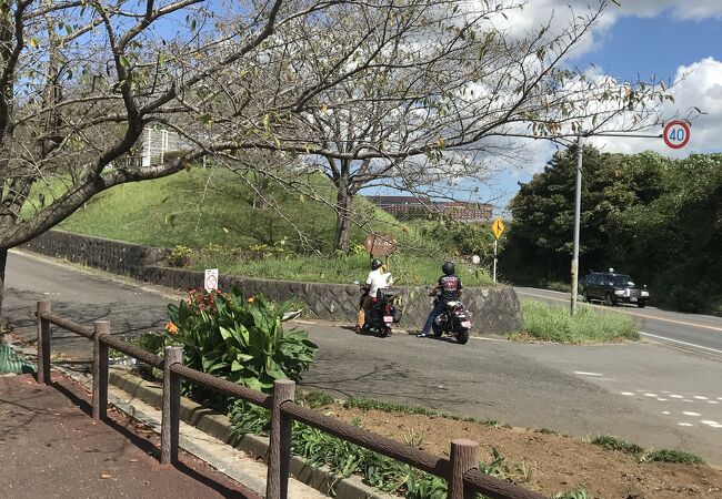 成田市さくらの山