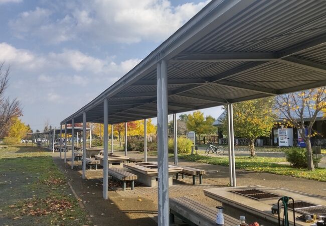 広い敷地で色々と楽しめます