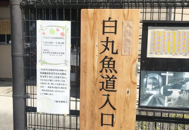 白丸ダム魚道
