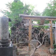 文京区散策(1)で海蔵寺に行き、身禄行者の墓に寄りました