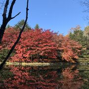 矢ヶ崎公園から徒歩15分