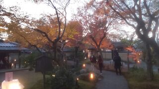 夕方の灯りが最高でした。