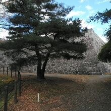 天守台が見えて来ました