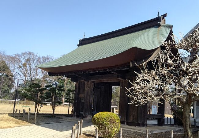 旧水戸城薬医門 