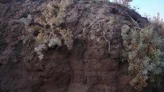 　アク・べシム遺蹟は簡単に行ける世界遺産