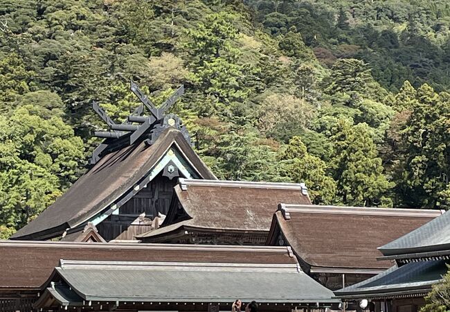 出雲大社御本殿 クチコミ・アクセス・営業時間|出雲市【フォー 出雲大社御本殿 クチコミ・アクセス・営業時間|出雲市【フォー