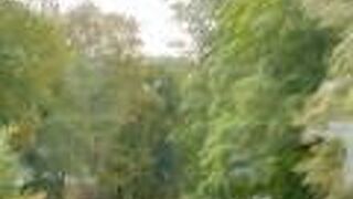 首都「ヴィリニュス」の名前の由来です