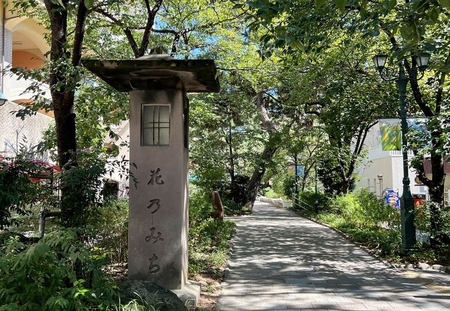 気持ちのよい散歩道