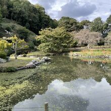 近水園