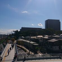 日大藤沢キャンパスが見えます。