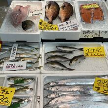 八幡浜市魚市場
