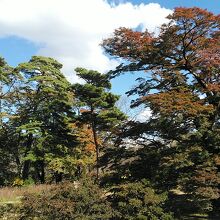 バス停前の南湖公園の紅葉
