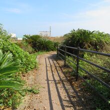 ビドウ遊歩道