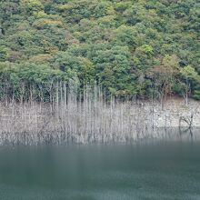 湯西川ダム