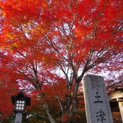 万物の理を究められた会津藩主を祭るこどもと出世の神様、土津神社の紅葉