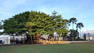 ヒルトンの横、プルマンの斜め前の憩いのグリーン。子供が遊べる。