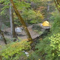 木々に囲まれたテント場。