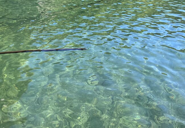 水が澄んでいて美しい