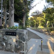 水辺と緑が楽しめる公園