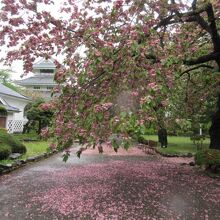 国史跡三戸城跡城山公園