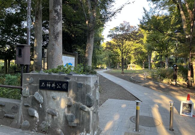 水辺と緑が楽しめる公園