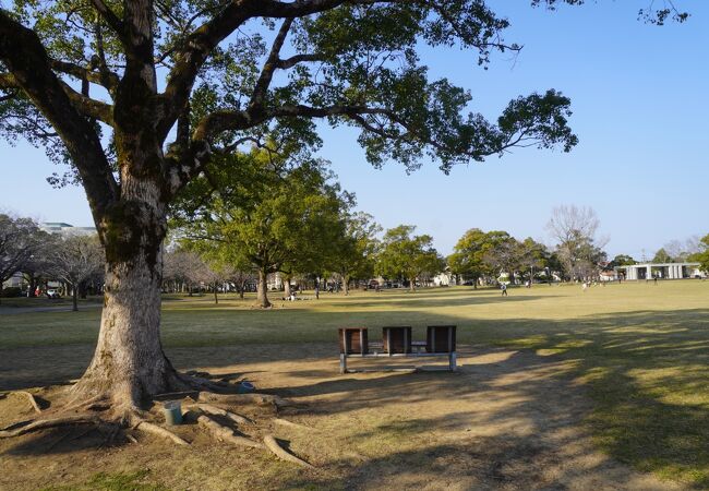 宮崎県総合文化公園