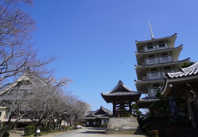 立派な本堂に五重塔まで建っていて