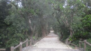 苦労をしのぶことができました